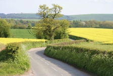 CPRE Berkshire's campaigns